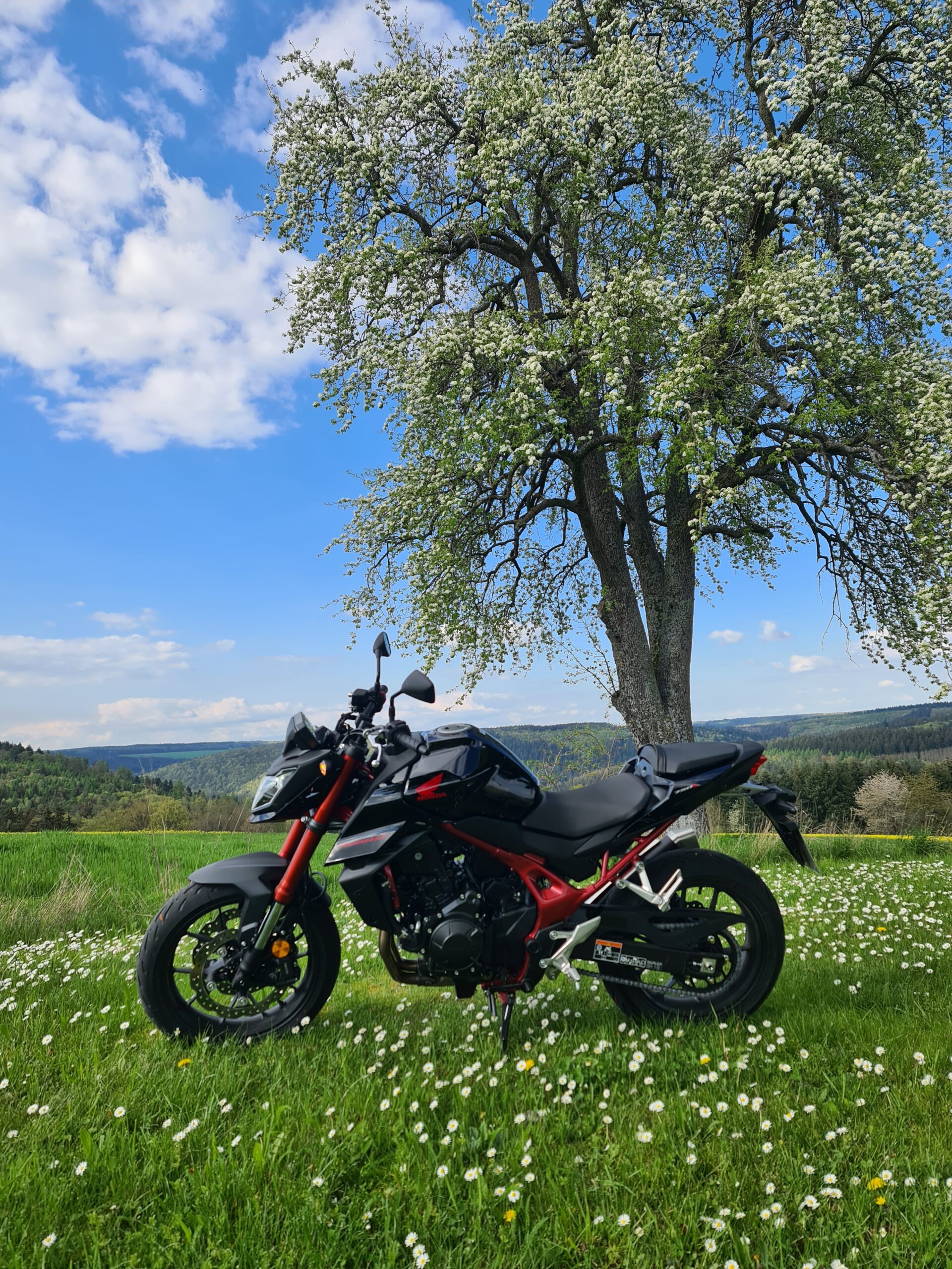 CB 750 Hornet, Erlebnis pur!